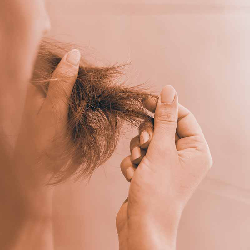 Greffe de Cheveux Synthétiques ou Biofibre