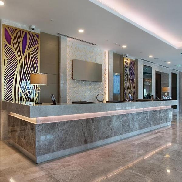 Image - Hotel Istanbul Greffe de Cheveux